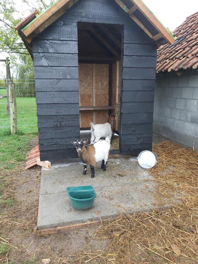 Vakantiewoning Helence Merendree Exterior foto